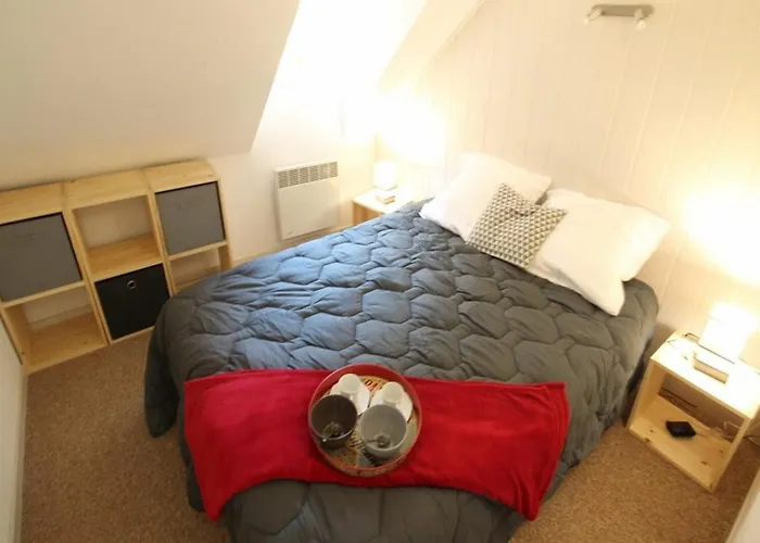 Luchon : T3 Cosy Pour 4 Pers, Au Pied Du Telecabine, Parking Prive - Fr-1-313-204 Lägenhet